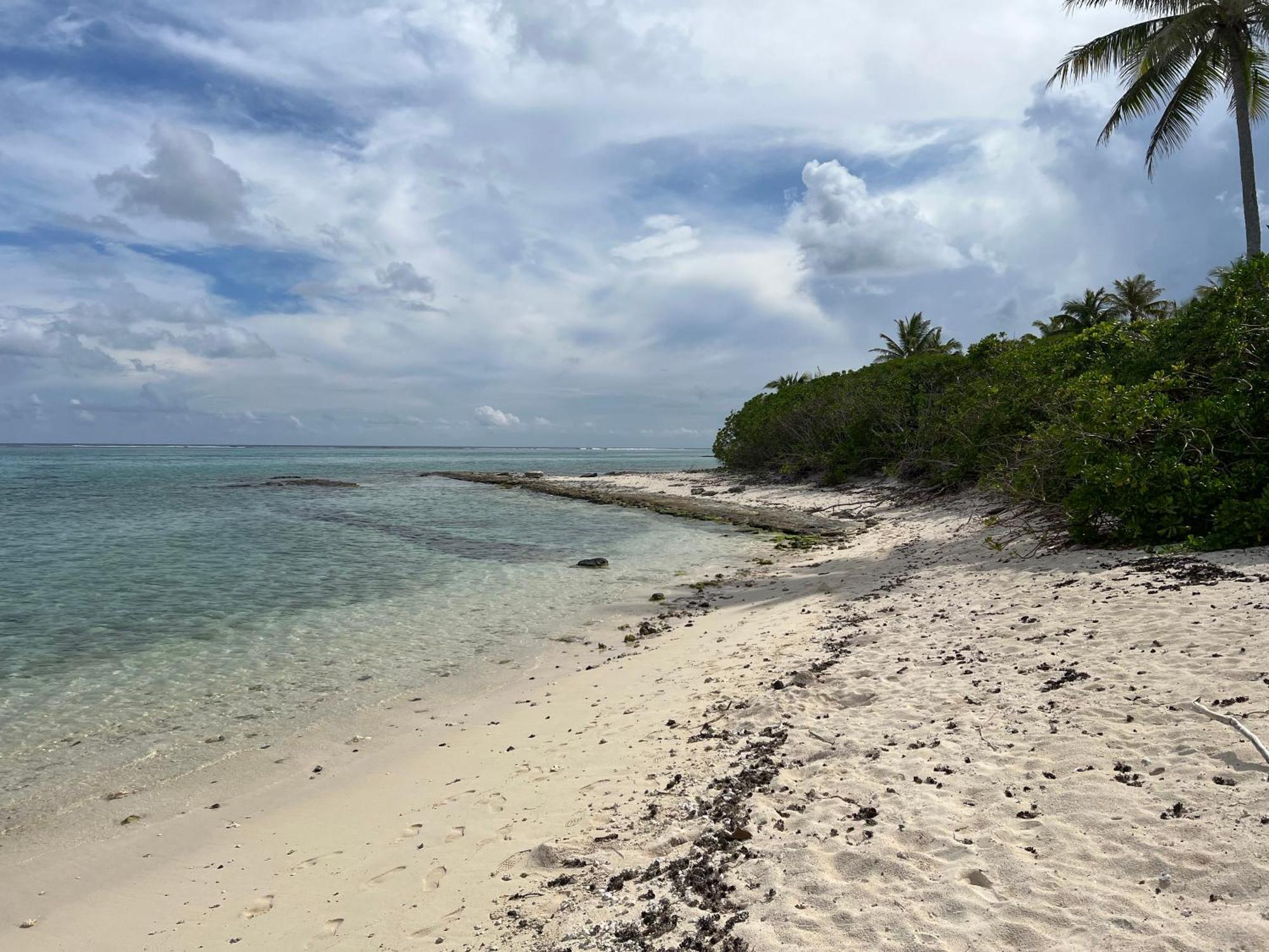 Parea Lodge Huahine Bungalow F2 #Miti Eksteriør billede